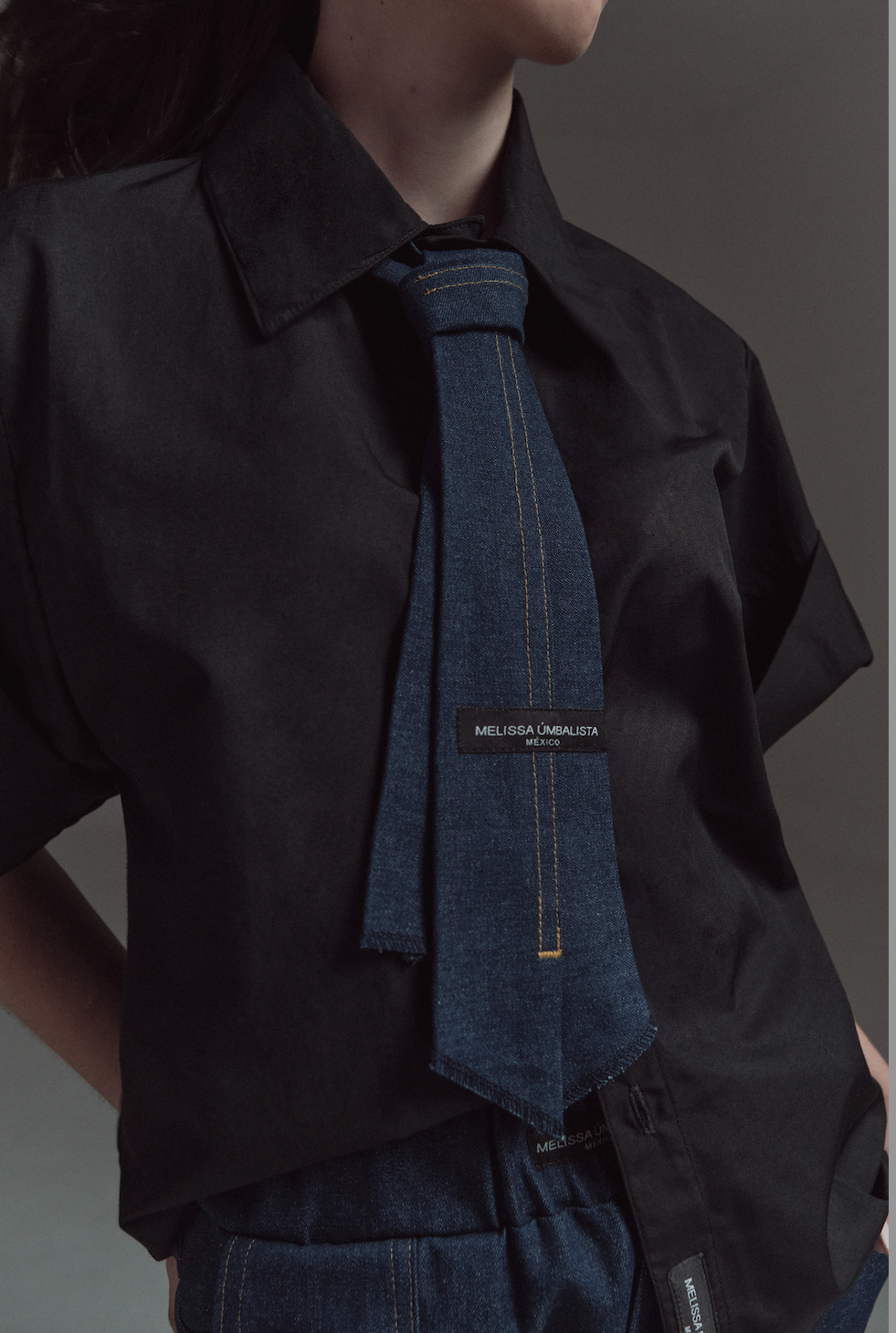 DNM-17 Corbata Indigo W